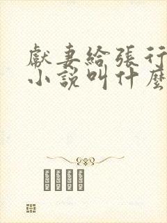献妻给张行原著小说叫什么名字