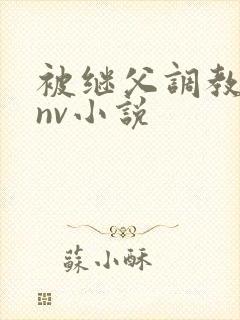 被继父调教的继nv小说