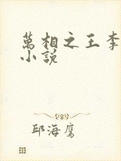 万相之王李洛的小说