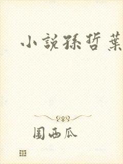 小说孙哲叶巧