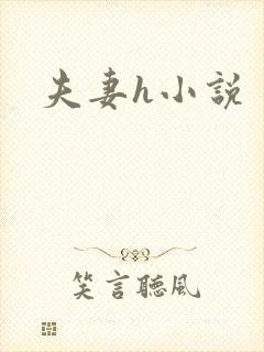 夫妻h小说