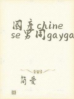 国产chinese男同gaygay