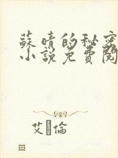 苏晴的秘密全文小说免费阅读