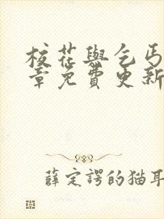 校花与乞丐50章免费更新