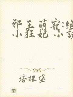 邪王萌宠:绝色小狂妃 小说封面