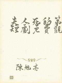 夫人死的第三年短剧免费观看