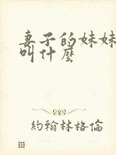 妻子的妹妹丈夫叫什么
