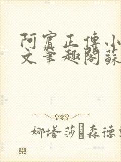 阿宾正传小说全文笔趣阁苏霞和朱干封面
