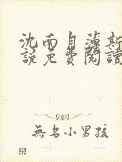 沈南月薄斯臣小说免费阅读全文