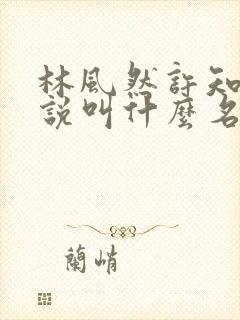 林风然许知唯小说叫什么名字