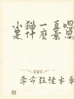 小猫一直嗯嗯嗯是什么意思