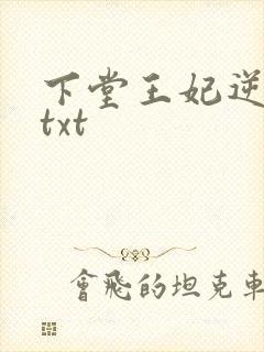 下堂王妃逆袭记txt