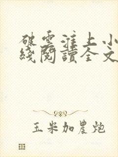 破云淮上小说在线阅读全文