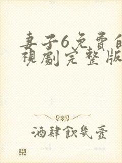 妻子6免费的电视剧完整版韩剧网封面