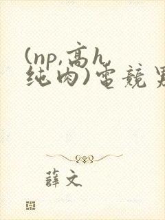 (np,高h,纯肉)电竞男男