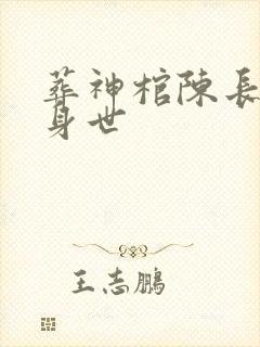 葬神棺陈长安的身世
