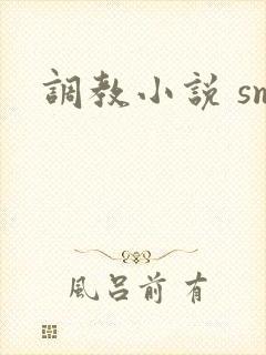 调教小说 sm封面