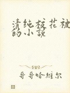 清纯校花被调教的小说封面