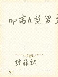 np高h双男主