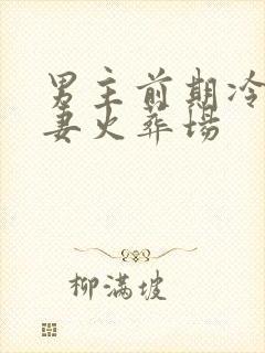 男主前期冷淡追妻火葬场
