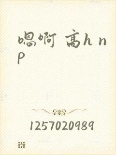 嗯啊 高h np