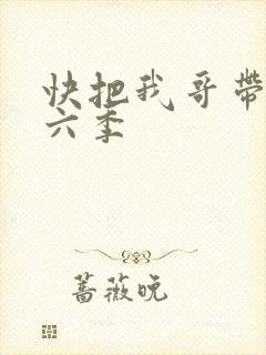 快把我哥带走第六季
