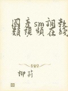 国产sm调教另类视频在线观看免费