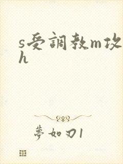 s受调教m攻高h