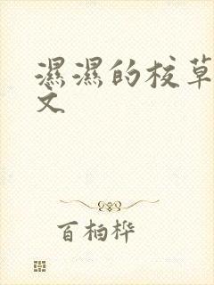 湿湿的校草双性文