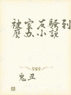 被室友骚到了怎么办小说