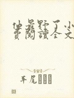 他最野了小说免费阅读全文