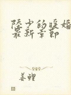 陆少的暖婚新妻最新章节封面