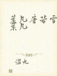 叶凡唐若雪医婿叶凡封面
