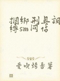 捆绑刑具调教束缚sm网站