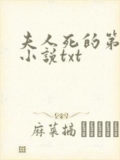 夫人死的第三年小说txt
