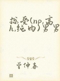 总受(np,高h,纯肉)男男