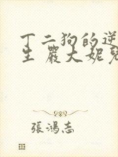 丁二狗的逆袭人生 严大妮儿封面