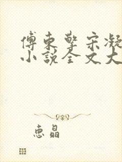 傅东擎宋凝林阑小说全文大结局
