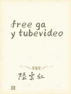 free gay tubevideo封面