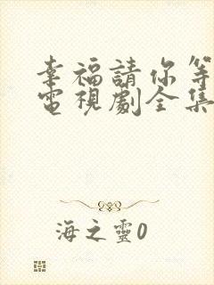 幸福请你等等我电视剧全集免费观看26集封面