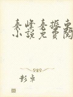 秦峰秦振东主角小说免费阅读官场小说