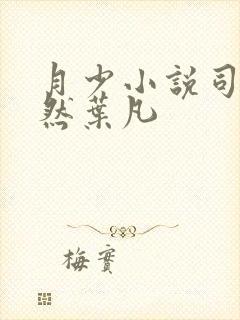 月少小说司空嫣然叶凡封面
