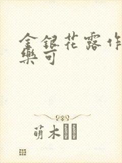 金银花露作者 乐可封面