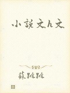 小说文h文