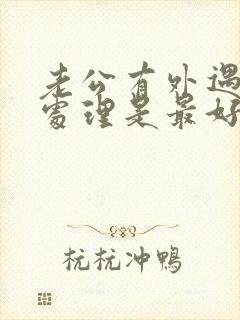 老公有外遇怎么处理是最好办法离婚