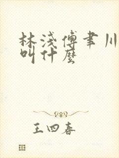 林浅傅聿川短剧叫什么