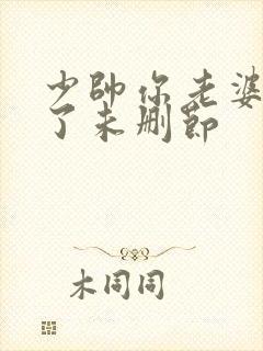 少帅你老婆又跑了未删节