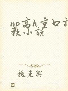 np高h重口调教小说
