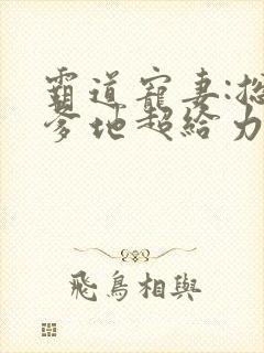 霸道宠妻:总裁爹地超给力 良子