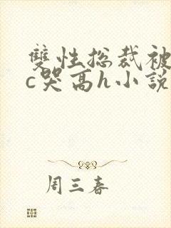 双性总裁被警察c哭高h小说封面